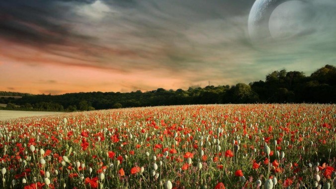 体制内着装最忌讳的是什么?